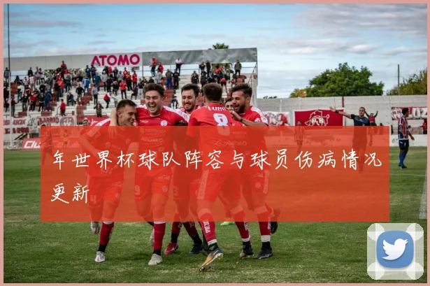 年世界杯球队阵容与球员伤病情况更新