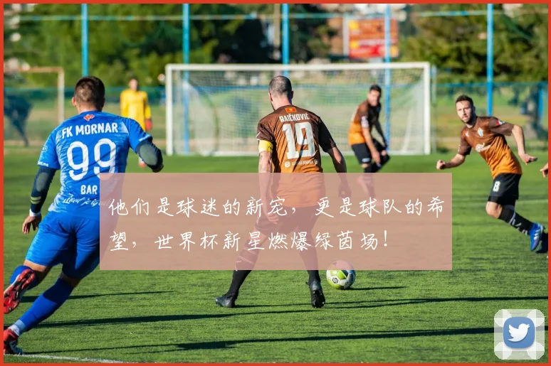 他们是球迷的新宠,更是球队的希望,世界杯新星燃爆绿茵场!