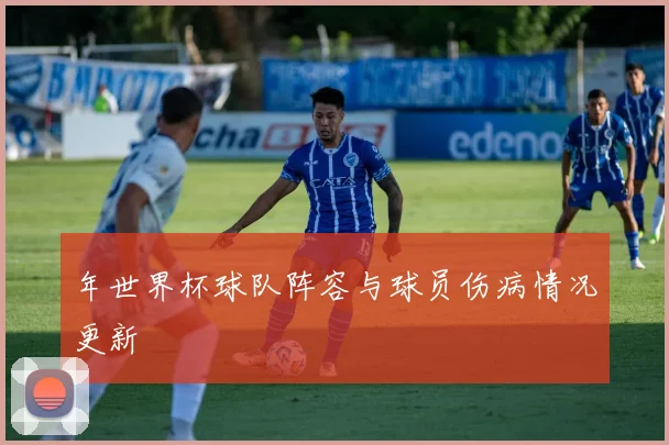 年世界杯球队阵容与球员伤病情况更新