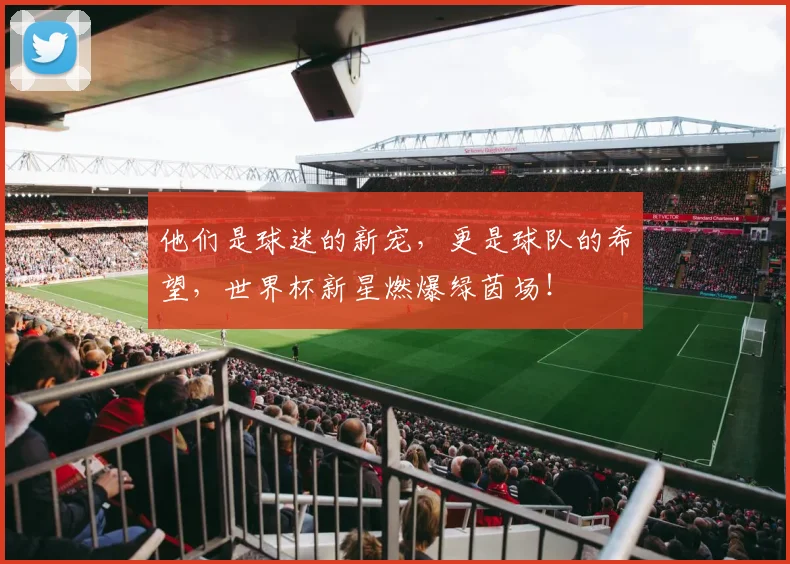 他们是球迷的新宠,更是球队的希望,世界杯新星燃爆绿茵场!